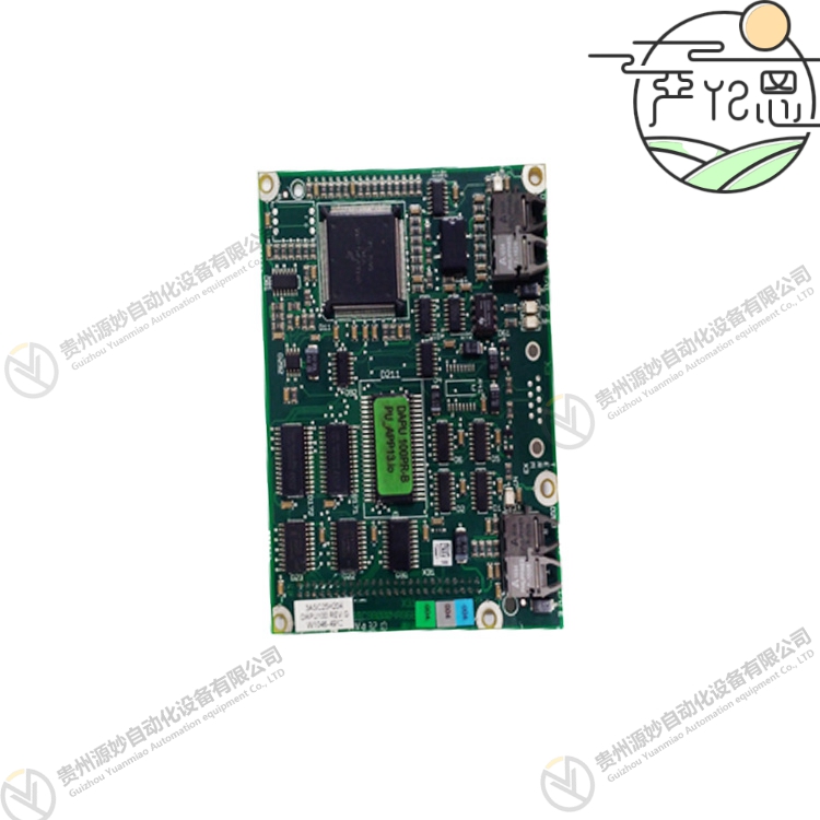 DAPU100 3ASC25H204 (2).jpg
